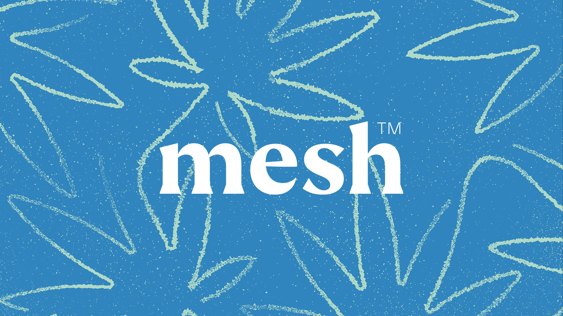 mesh_01